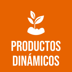 Productos dinámicos